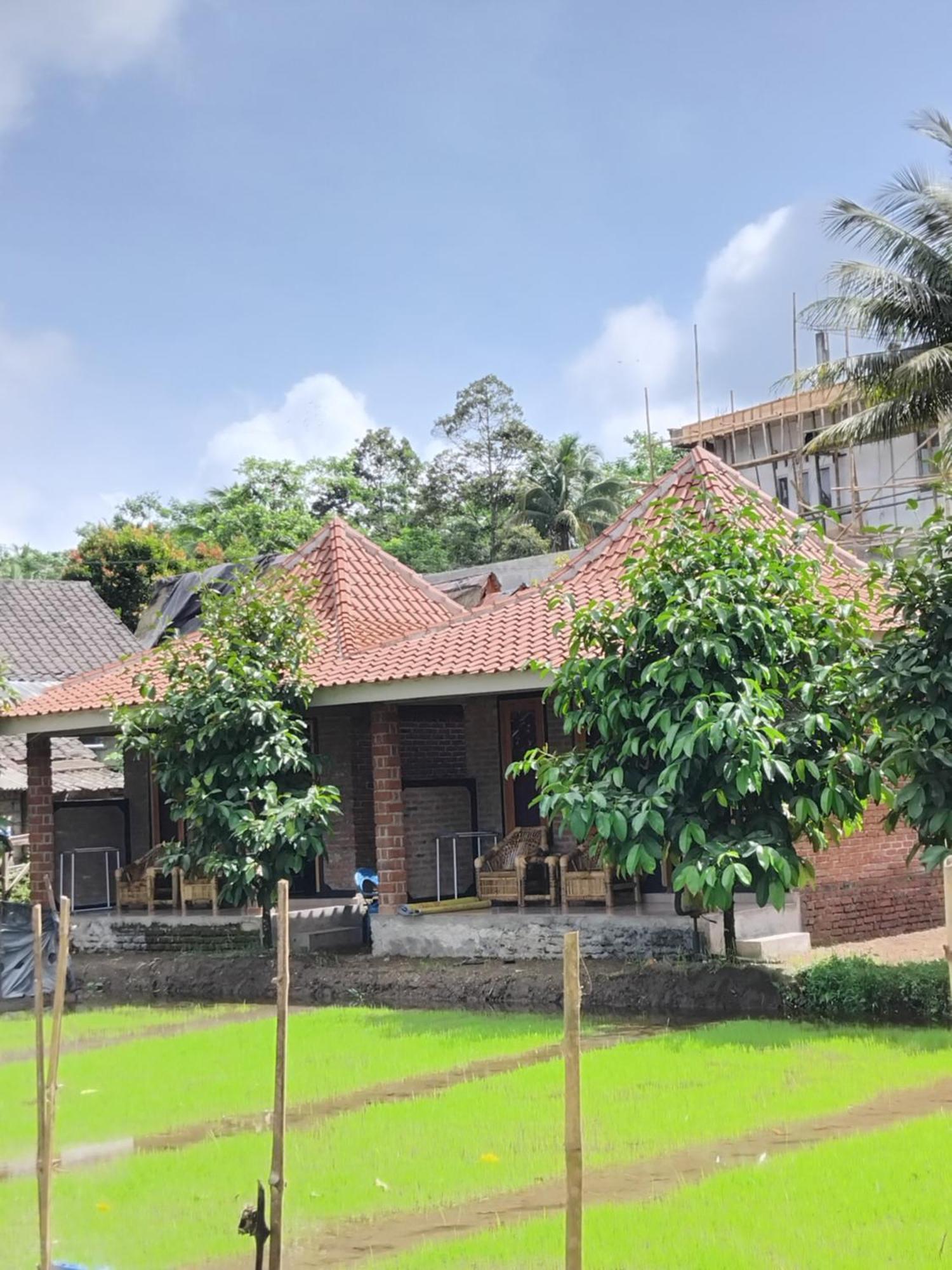 Tereng Wilis Homestay Tetebatu