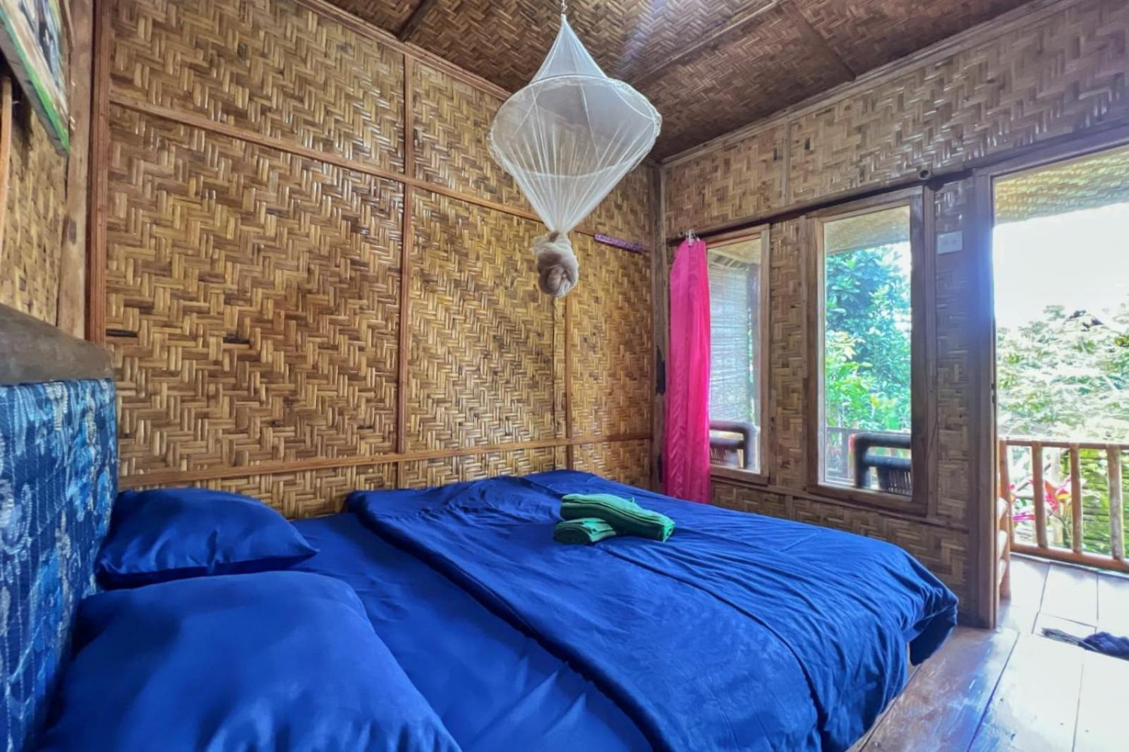 Tereng Wilis Homestay